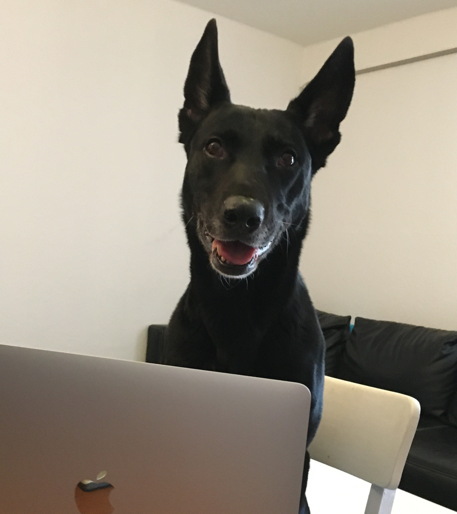 Online Training